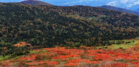 2018y11m02d_220115529.jpg